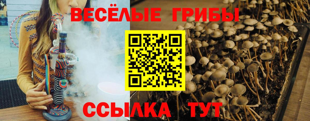 Псилоцибиновые грибы мухоморы  Вход с VPN  купить  сайты  Конаково 